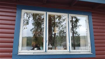 Fönster med slitet kitt före renovering